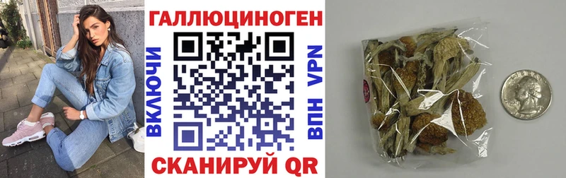 Псилоцибиновые грибы MAGIC MUSHROOMS  Жуков 